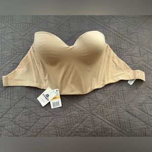 B.tempt’d 32dd bustier